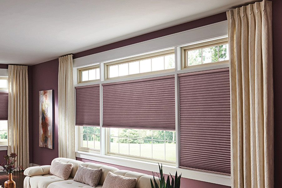 Mauve window shades on living room windows